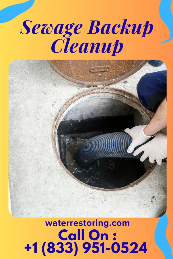 Sewage Backup Cleanup in Glencoe, KY