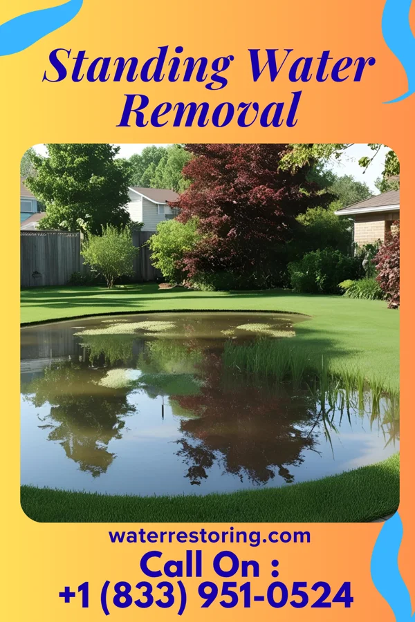 Standing Water Removal in Glencoe, KY